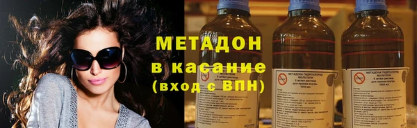 индика Вяземский