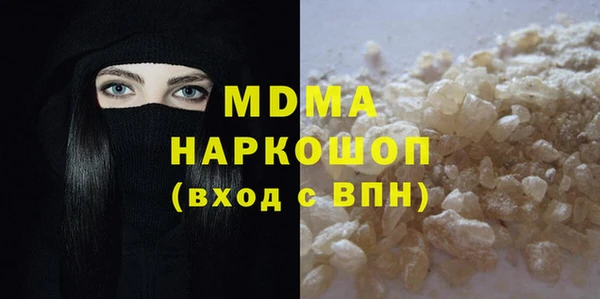 индика Вяземский