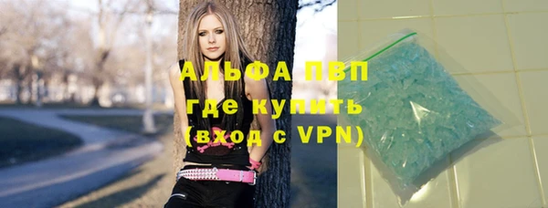 индика Вяземский
