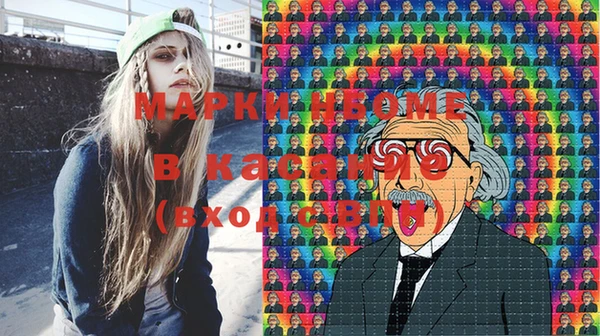 индика Вяземский