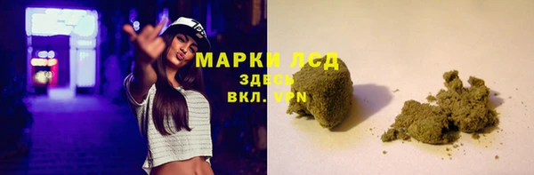 индика Вяземский