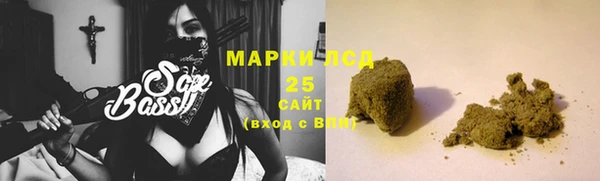 индика Вяземский