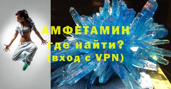 индика Вяземский