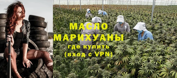 индика Вяземский