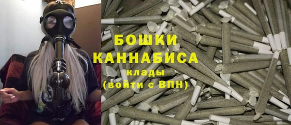 индика Вяземский
