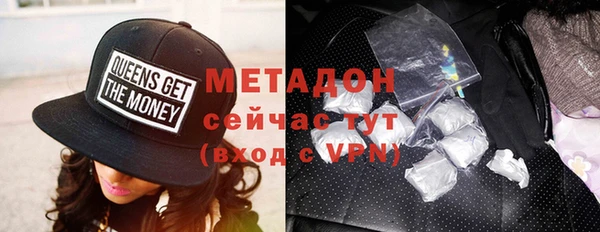 индика Вяземский