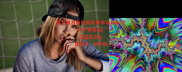 индика Вяземский