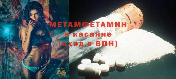 индика Вяземский