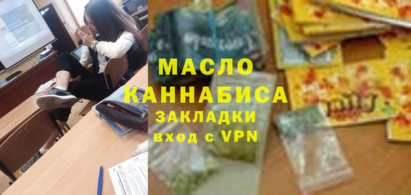 индика Вяземский
